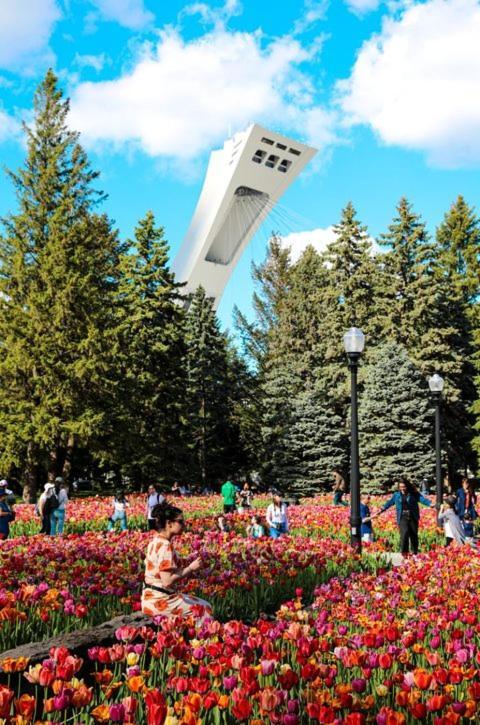 Suite Mont-Royal By Mtlvacationrentals Montréal Dış mekan fotoğraf